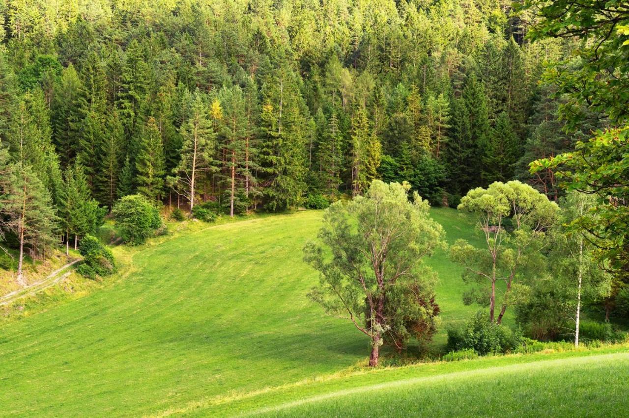 Landsitz Oberhof Petit Hotel Muggendorf  Eksteriør billede